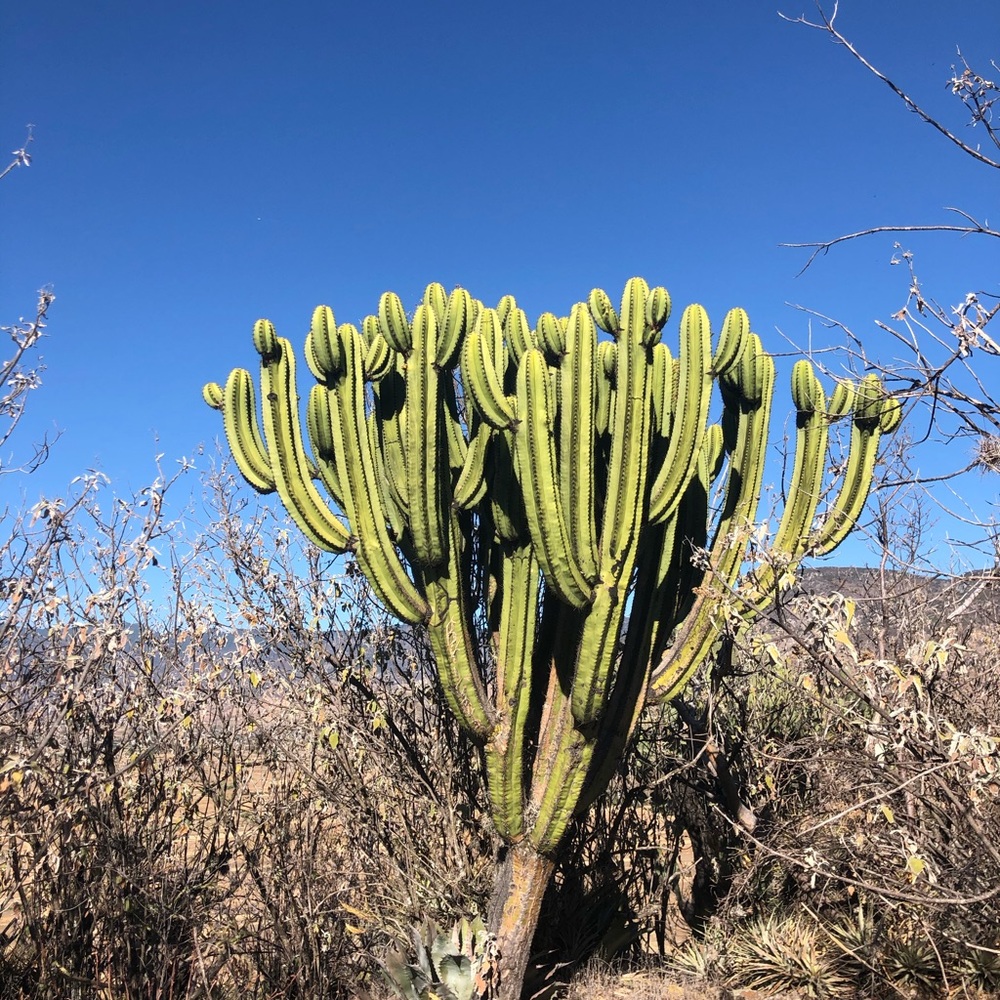 Meet your Posher, Elise